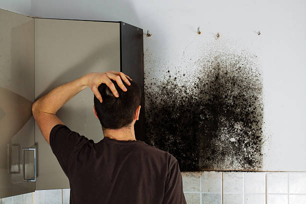 Best Crawl Space Mold Removal  in Winnsboro, TX
